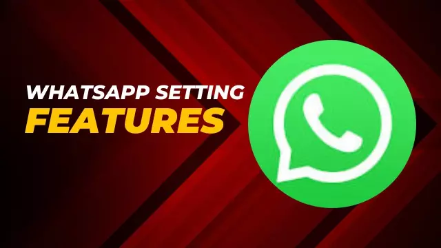 Mastering WhatsApp: Enhancing Your Chat Experience